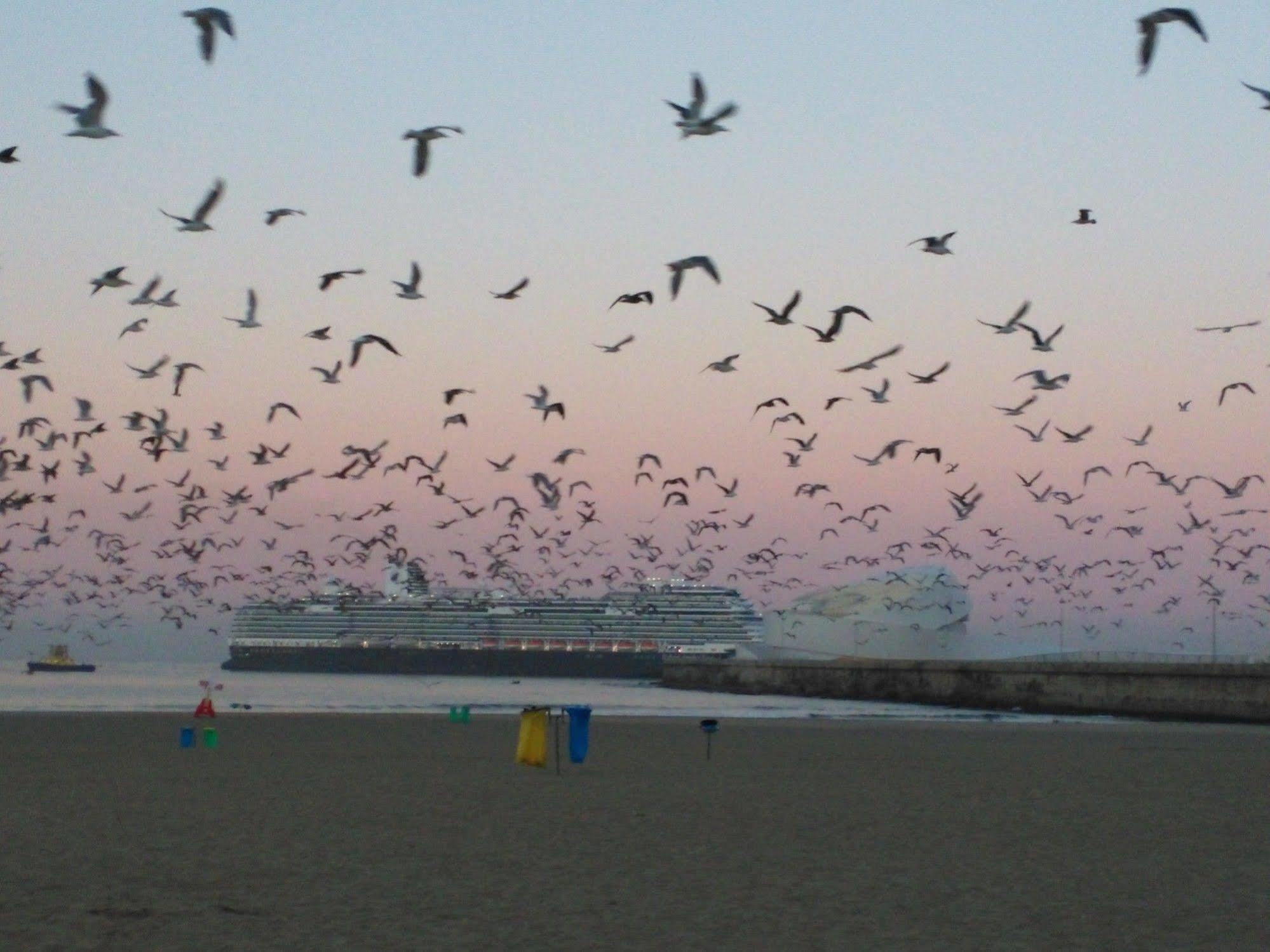 Urban Hotel Amadeos Matosinhos  Kültér fotó